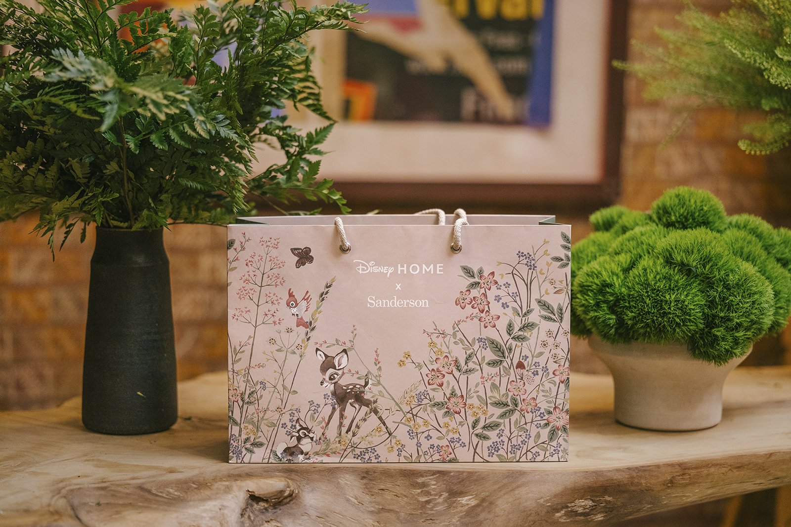 00113 2023-0914-Middle-Grey-Studios_BOH-Sanderson-Disney-61520_websize-2