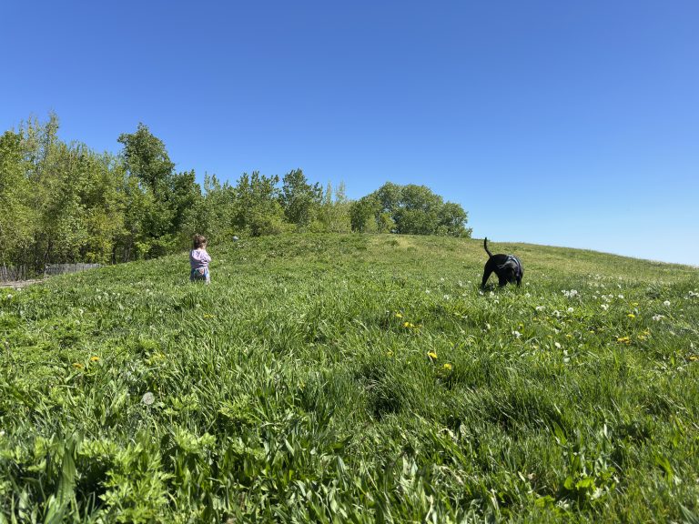A girl and a dog in a field
